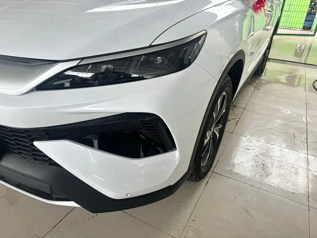BYD Pro New Energy — фото 2