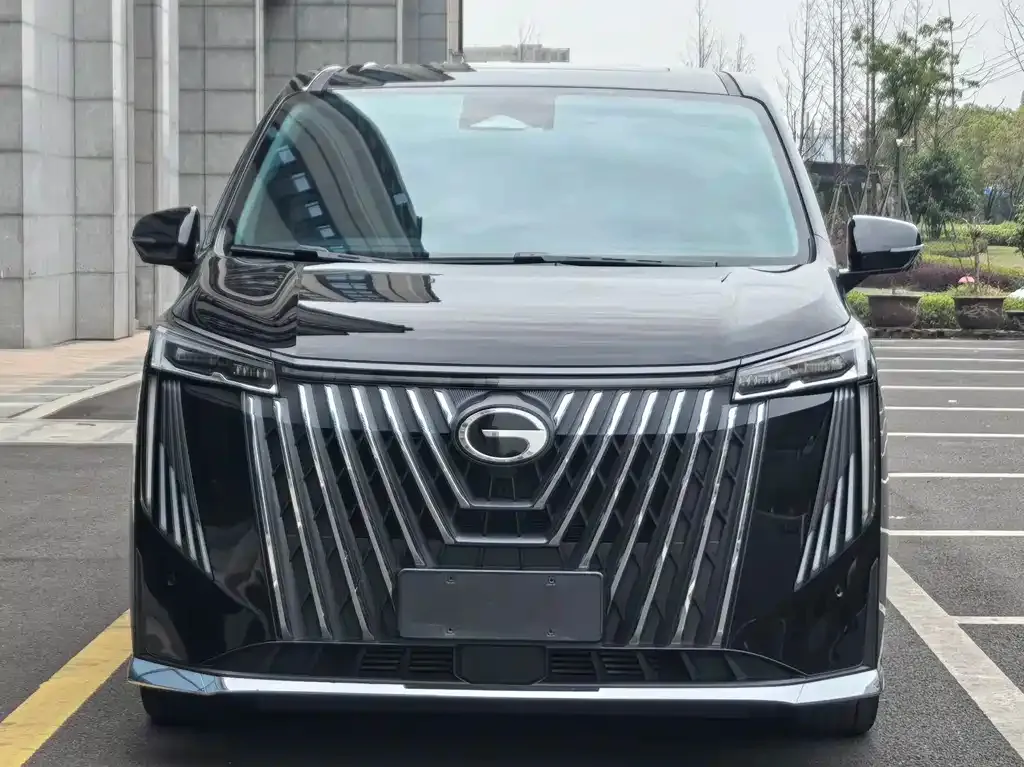 GAC Motor Trumpchi M8 2023 из CN, фото 8