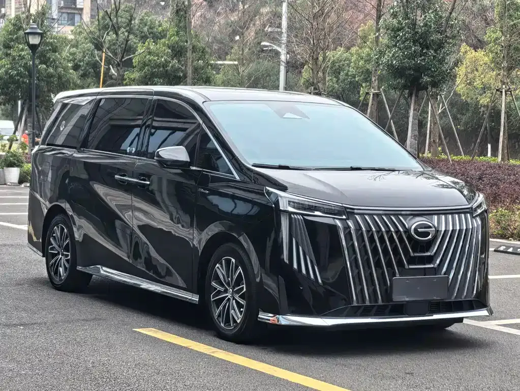 GAC Motor Trumpchi M8 2023 из CN, фото 10