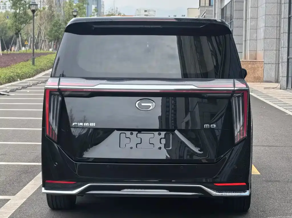 GAC Motor Trumpchi M8 2023 из CN, фото 3