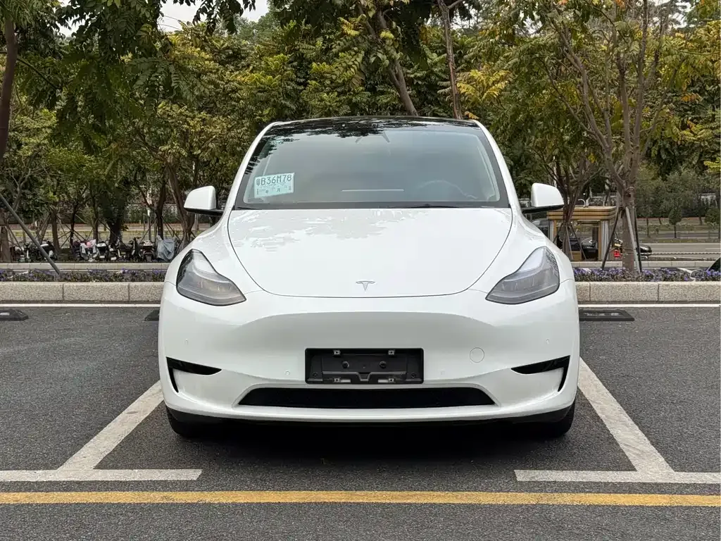 Tesla Model Y — фото 6