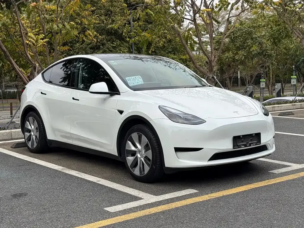 Tesla Model Y — фото 4