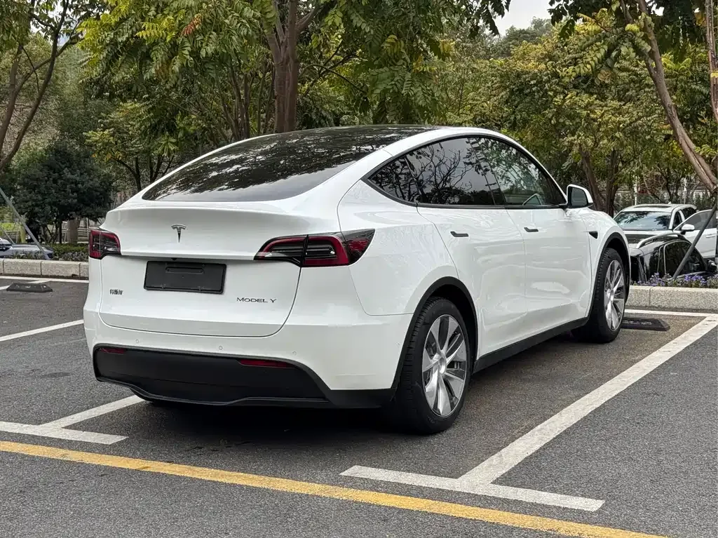 Tesla Model Y — фото 9