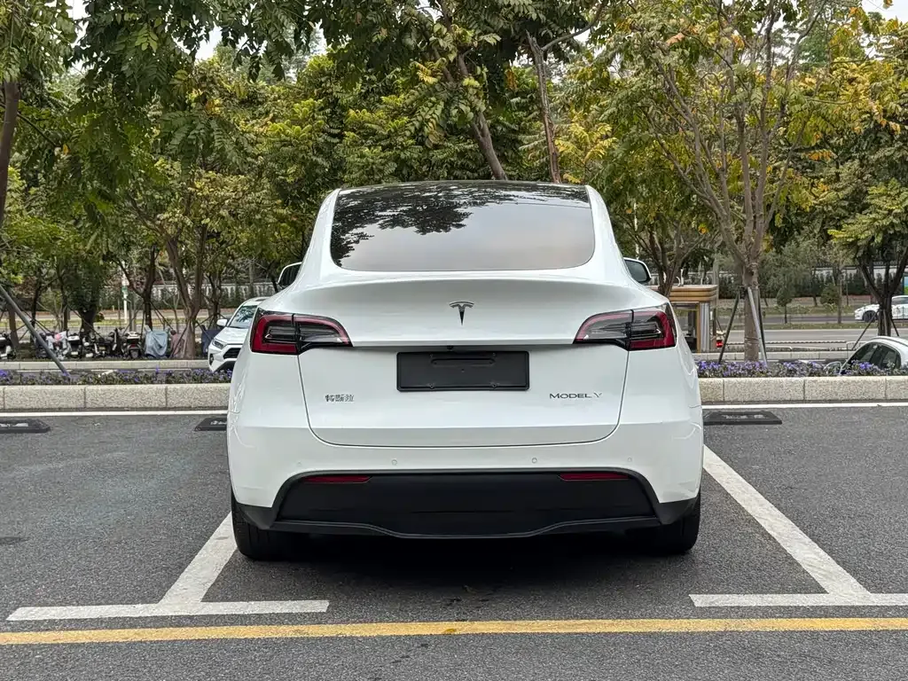Tesla Model Y — фото 7