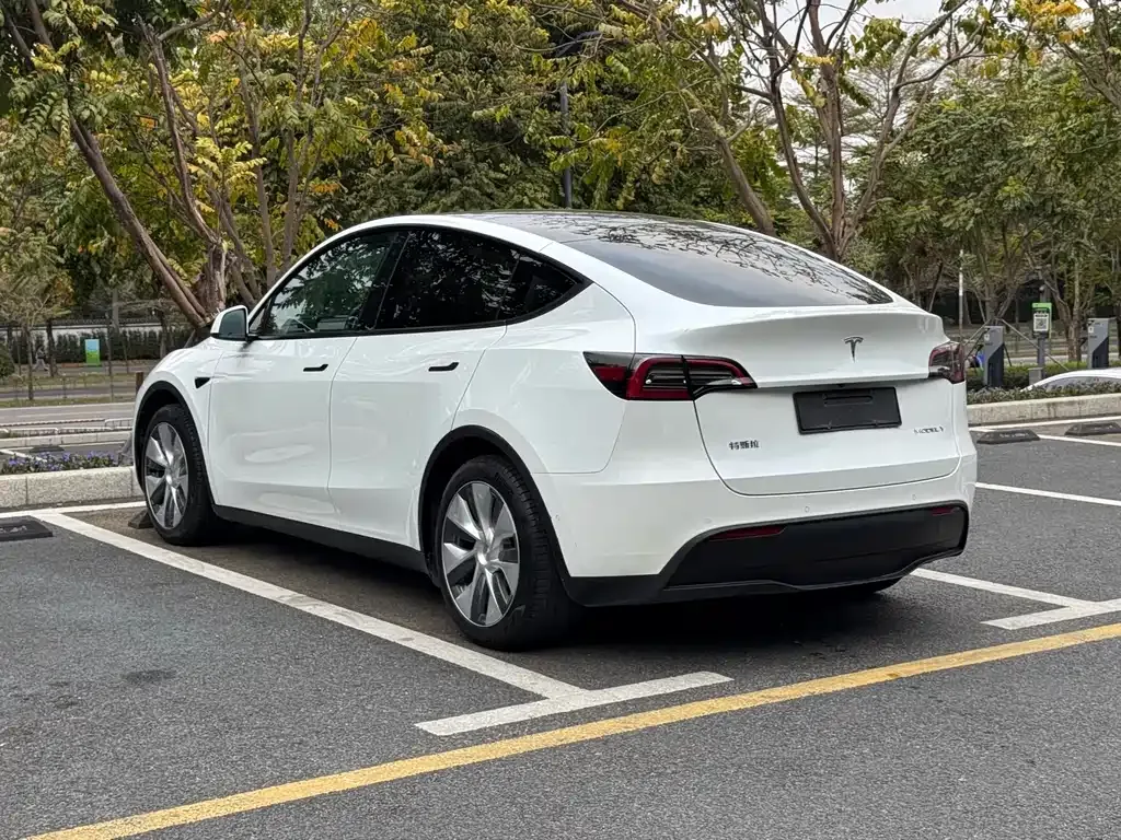 Tesla Model Y — фото 8