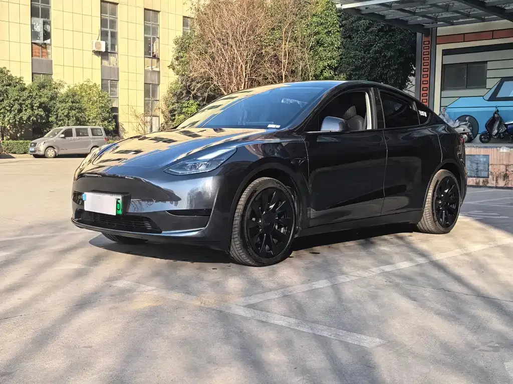 Tesla Model Y — фото 1