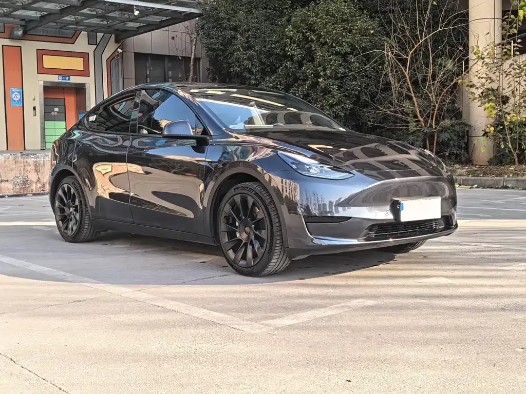 Tesla Model Y — фото 9
