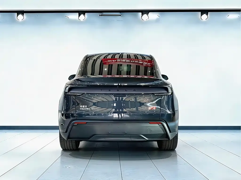 Tesla Model Y — фото 8