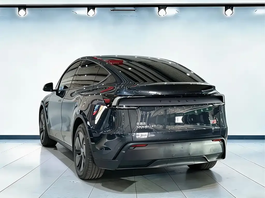 Tesla Model Y — фото 9