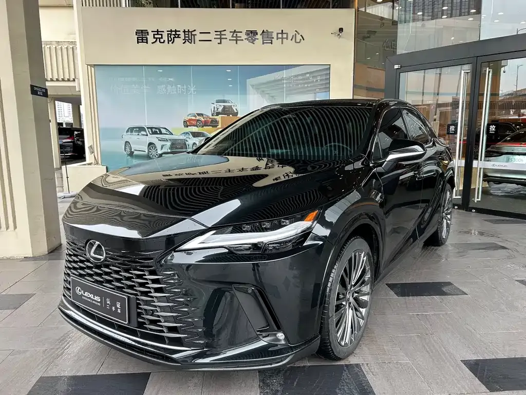 Lexus RX New Energy — фото 1