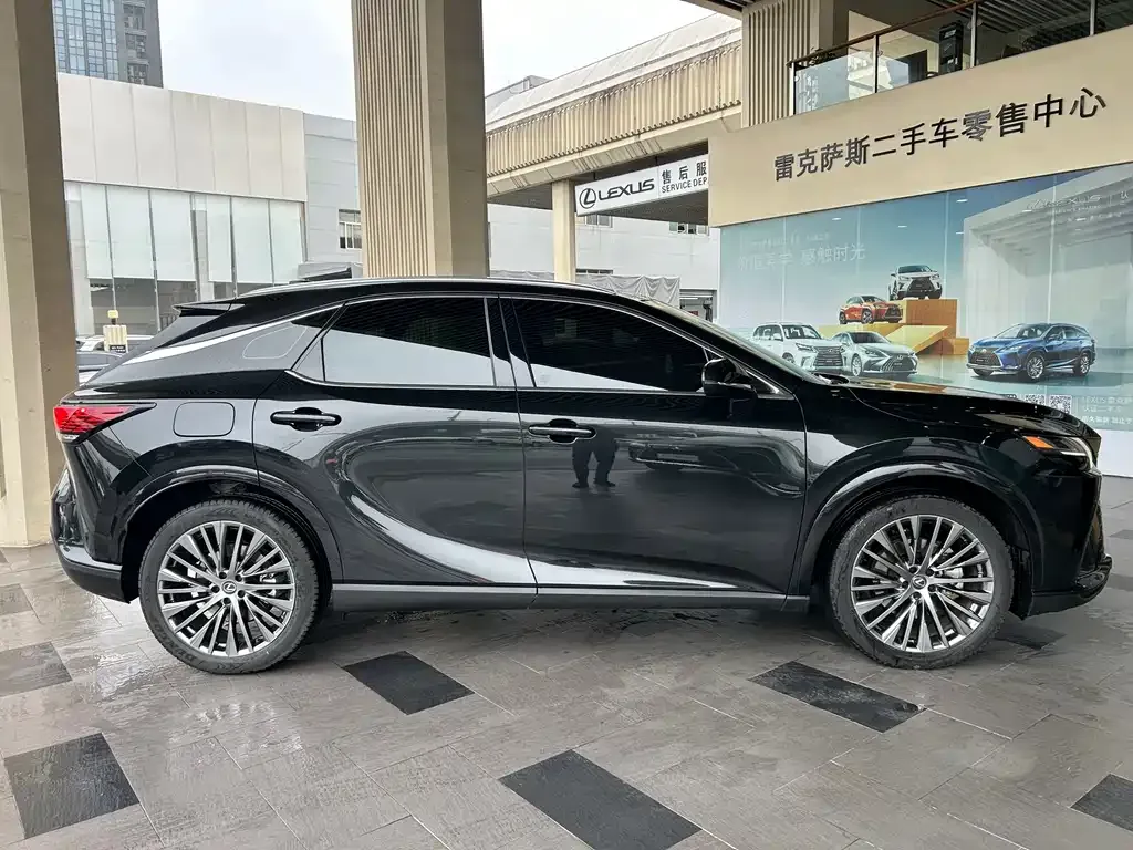 Lexus RX New Energy — фото 10