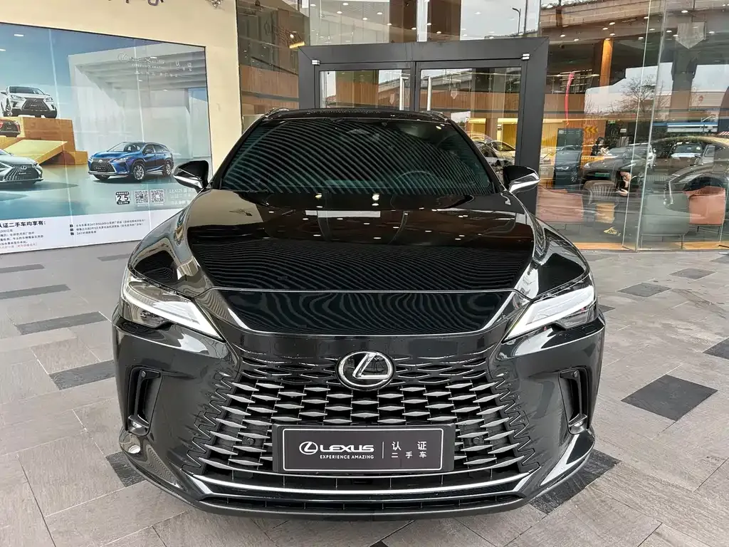 Lexus RX New Energy — фото 7