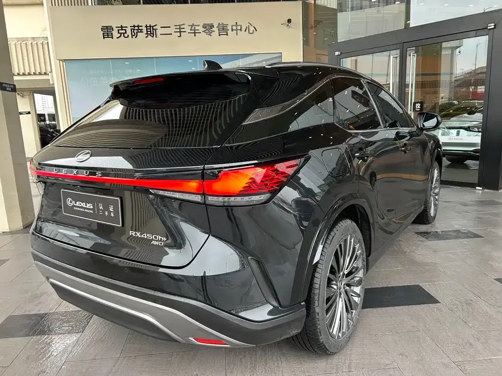 Lexus RX New Energy — фото 9