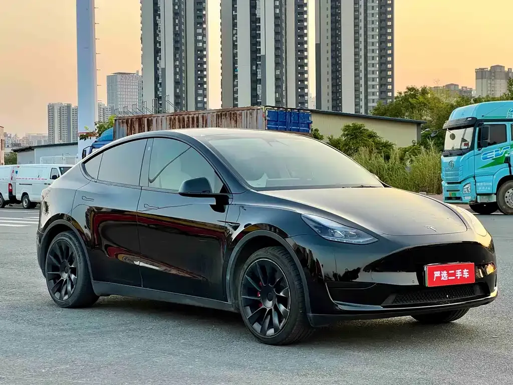 Tesla Model Y — фото 9