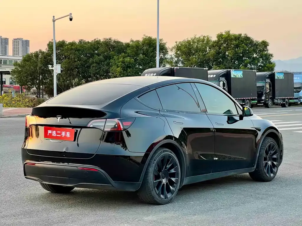 Tesla Model Y — фото 6