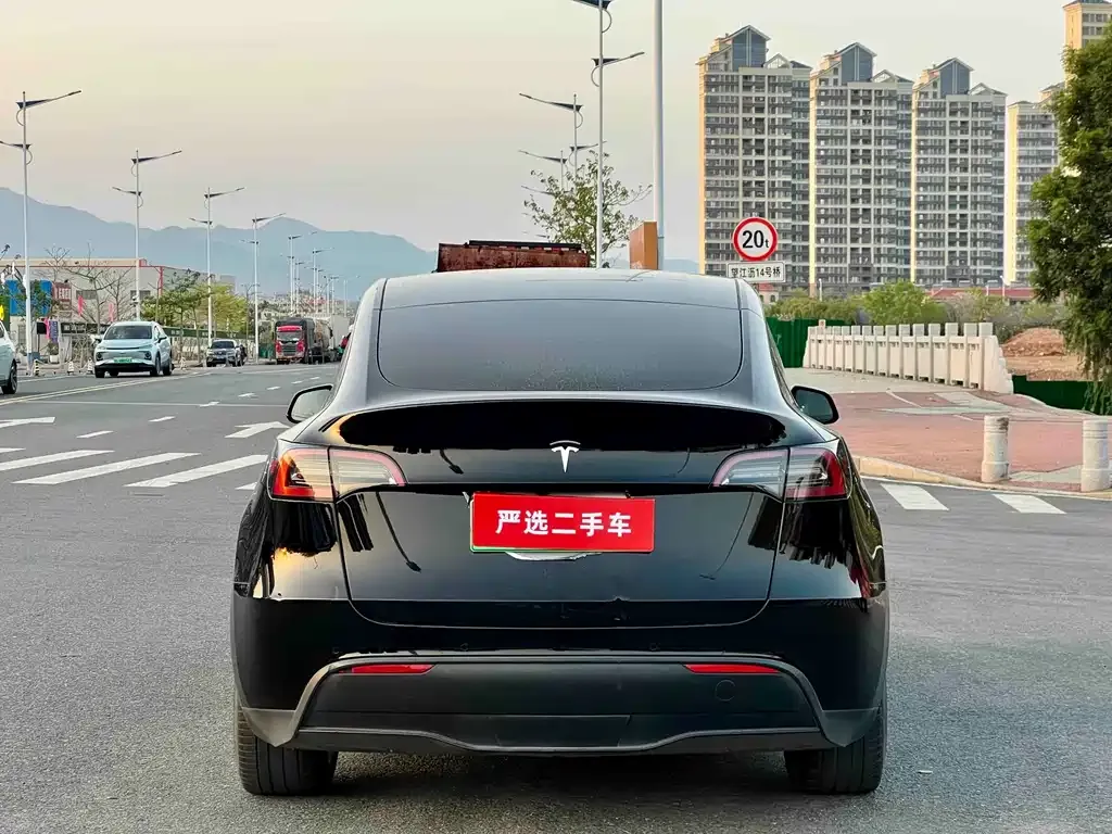 Tesla Model Y — фото 8