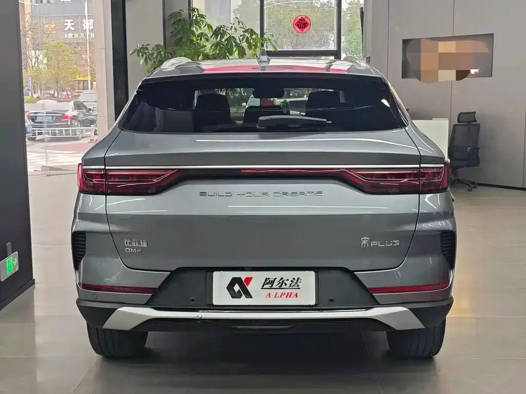 BYD PLUS New Energy — фото 8