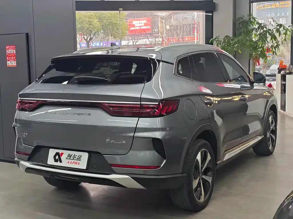 BYD PLUS New Energy — фото 9