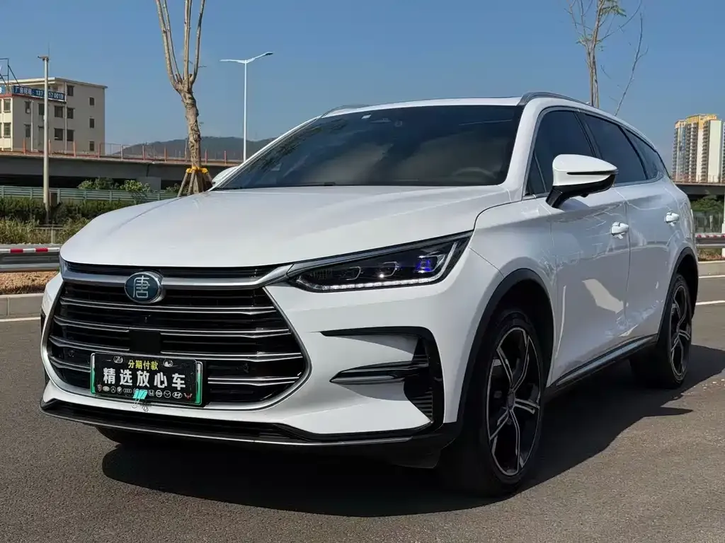 BYD Tang New Energy — фото 1