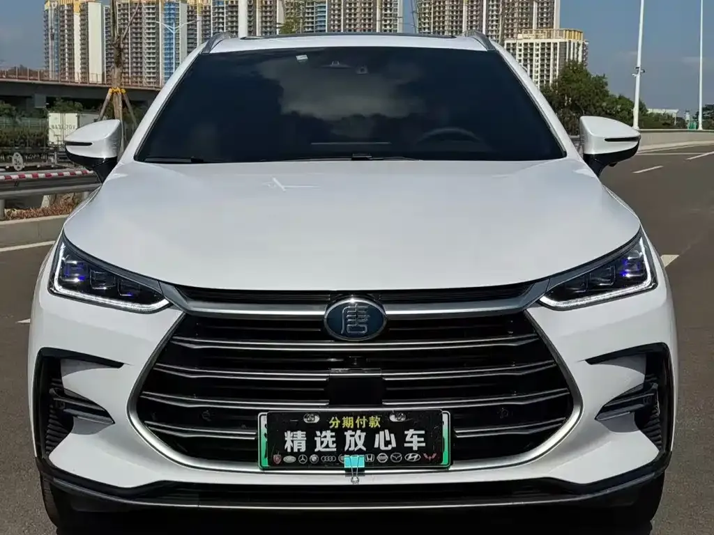 BYD Tang New Energy — фото 4