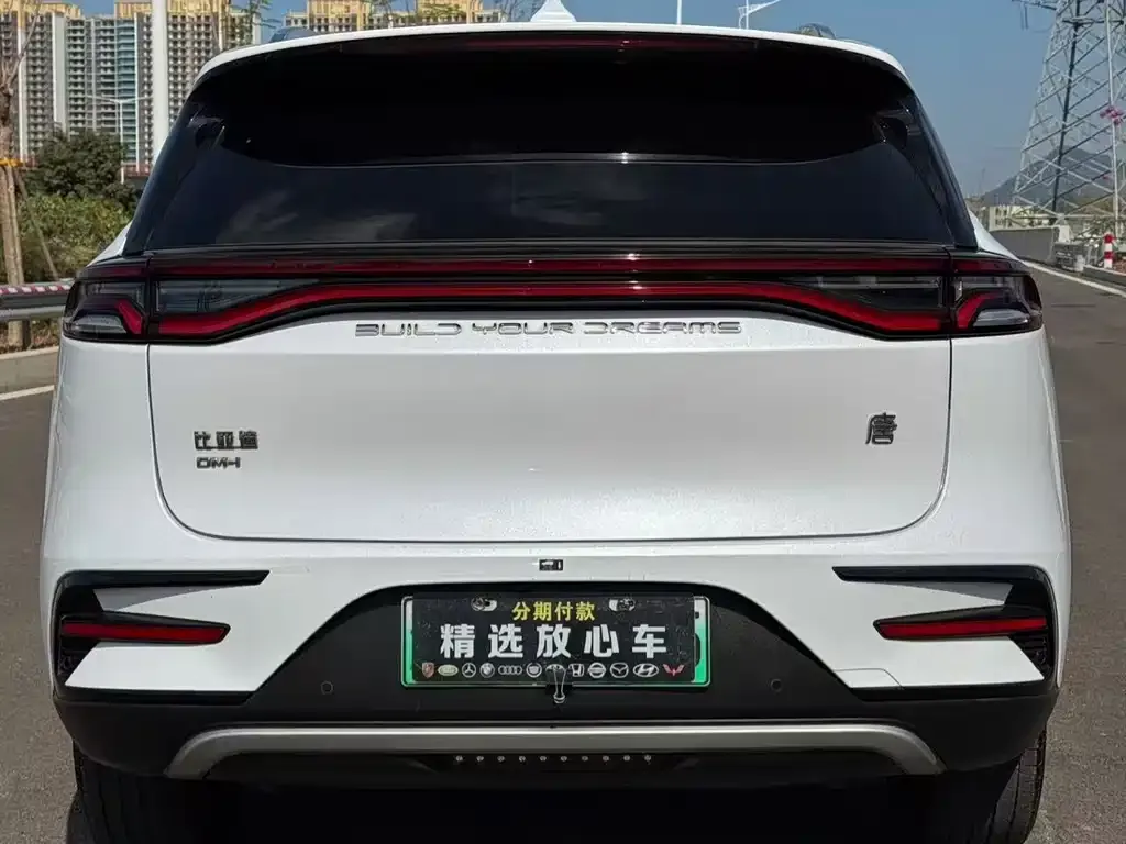 BYD Tang New Energy — фото 2