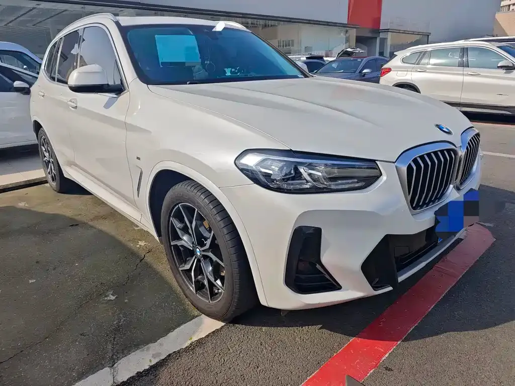 BMW X3 2021 из CN, фото 4