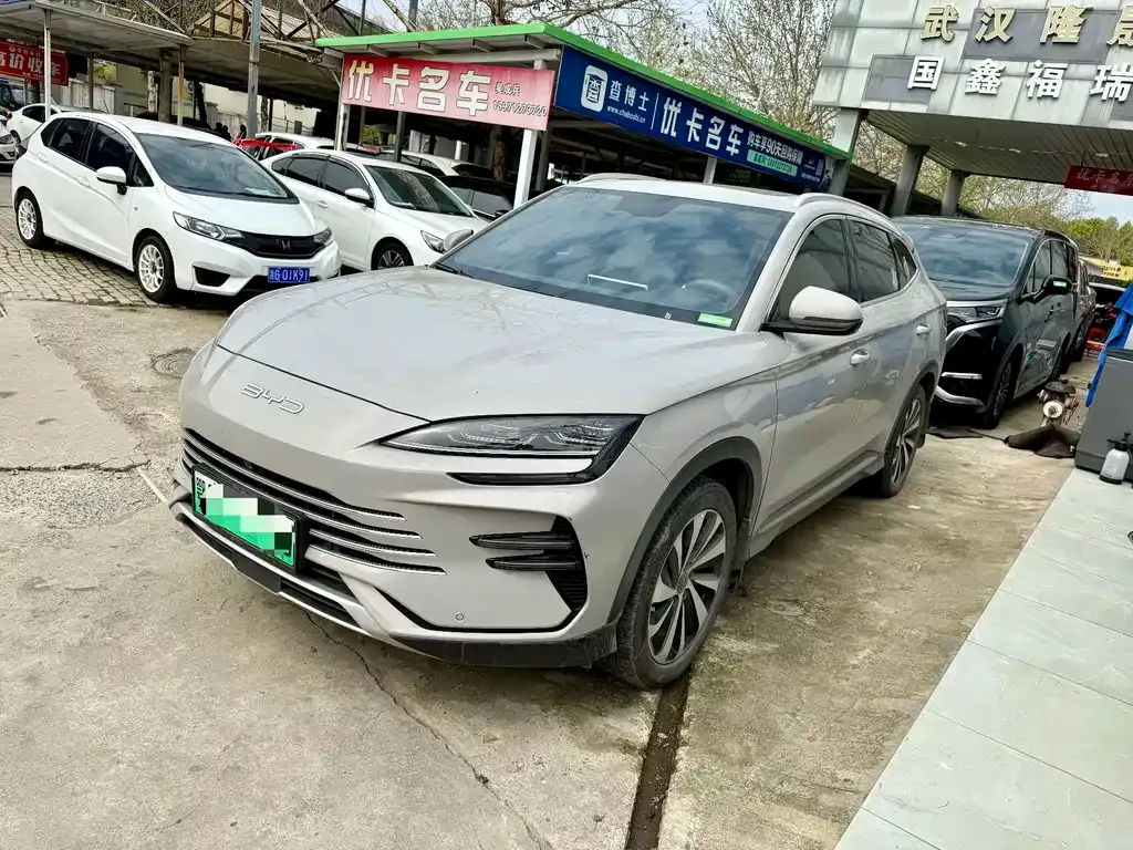BYD PLUS New Energy — фото 1
