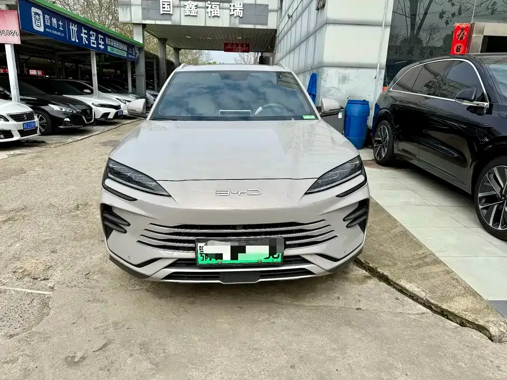 BYD PLUS New Energy — фото 2