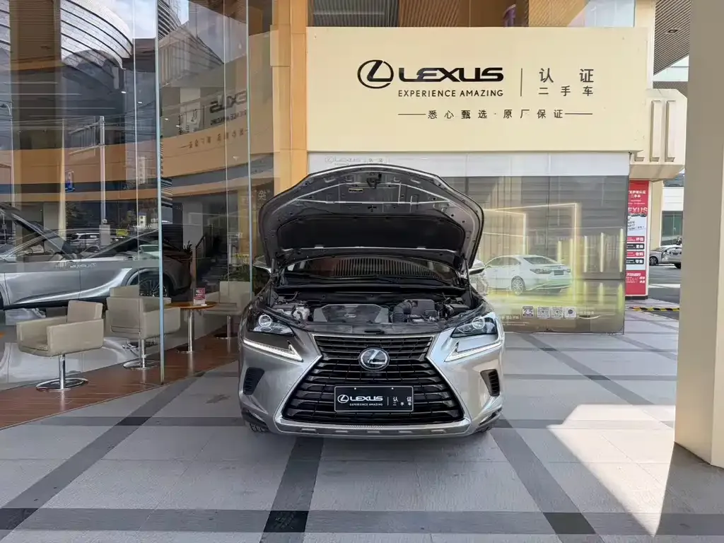 Lexus NX — фото 4