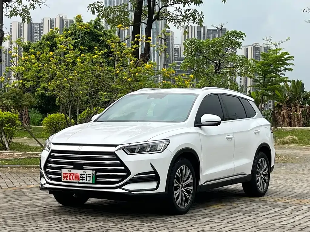 BYD Pro New Energy — фото 1