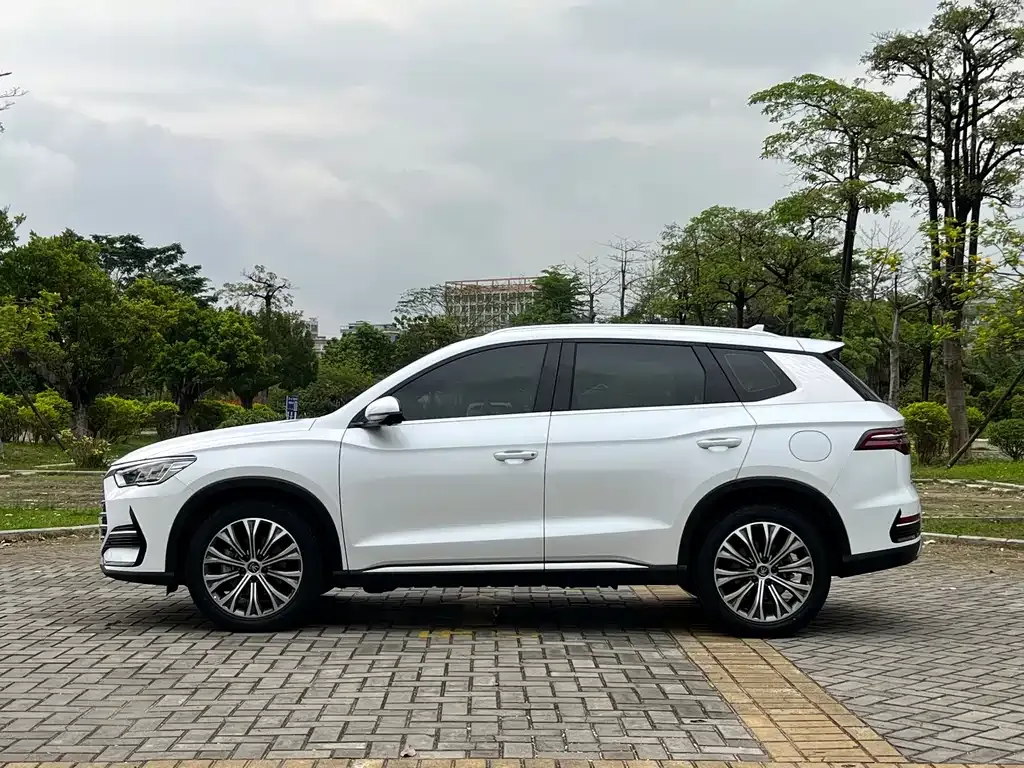 BYD Pro New Energy — фото 9