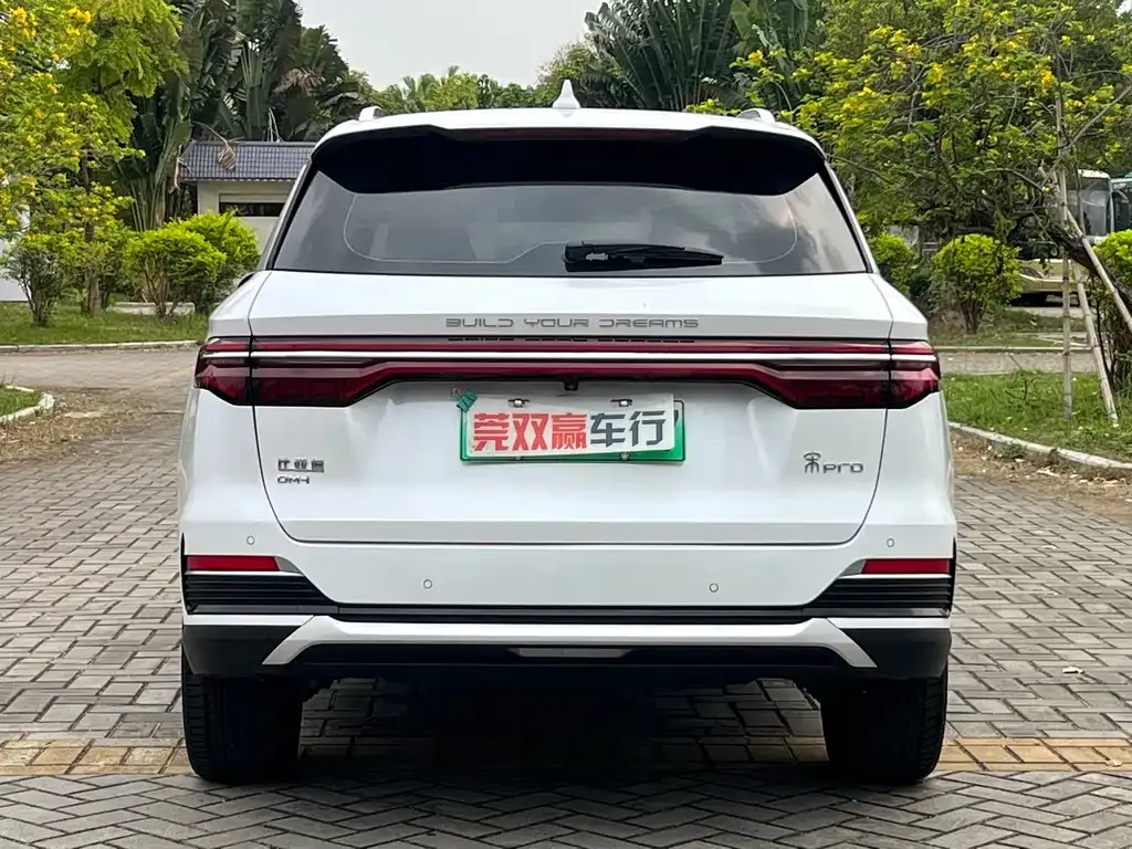 BYD Pro New Energy — фото 7