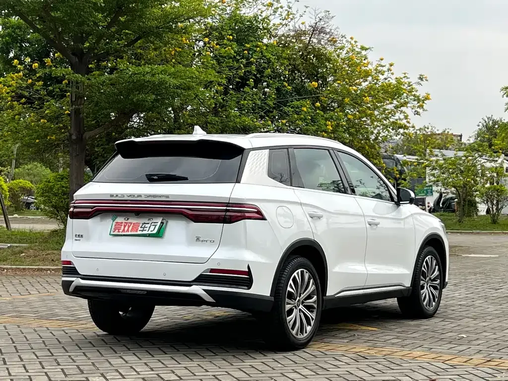 BYD Pro New Energy — фото 10
