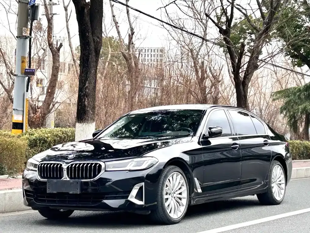 BMW 5 Series 2021 из CN, фото 1