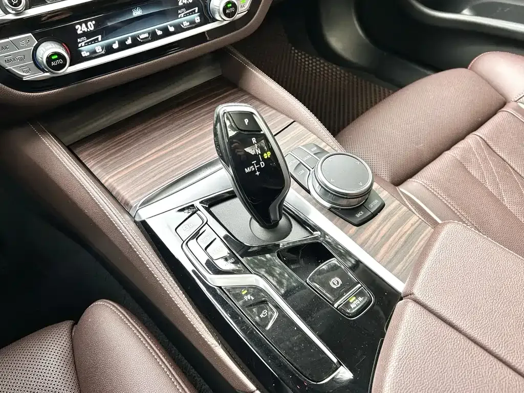 BMW 5 Series 2021 из CN, фото 5