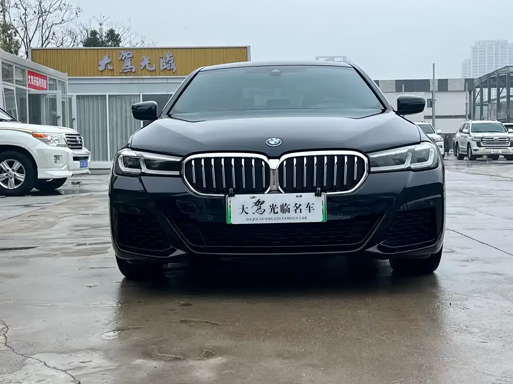 BMW 5 Series New Energy — фото 10