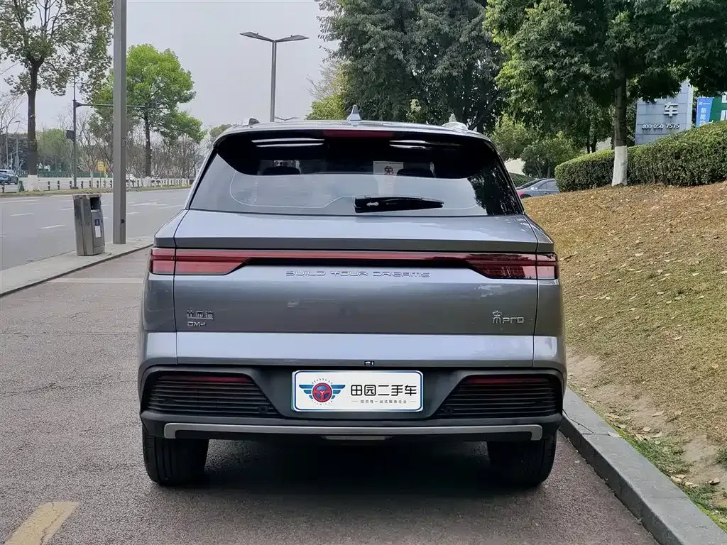 BYD Pro New Energy — фото 6
