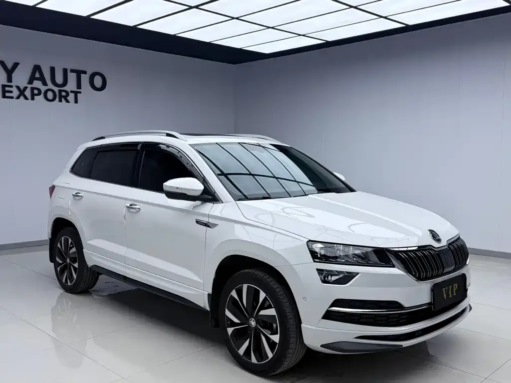 Skoda Karoq — фото 6