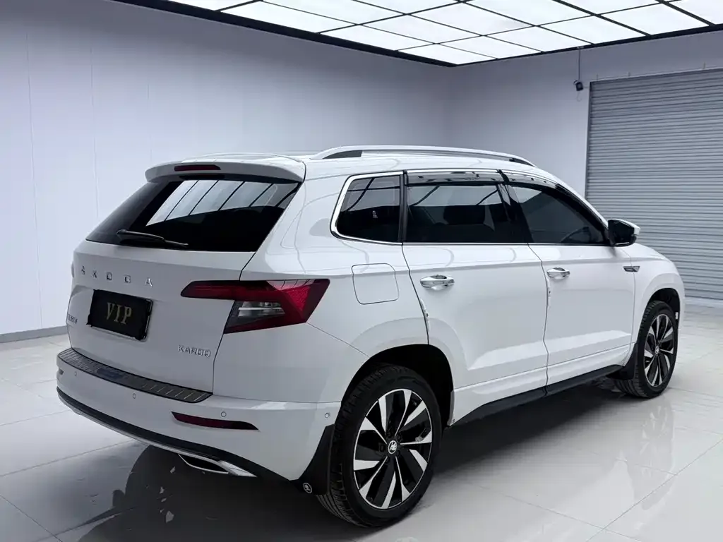 Skoda Karoq — фото 3