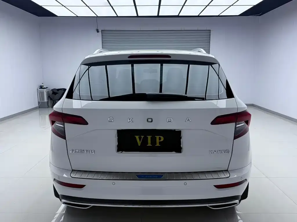 Skoda Karoq — фото 10