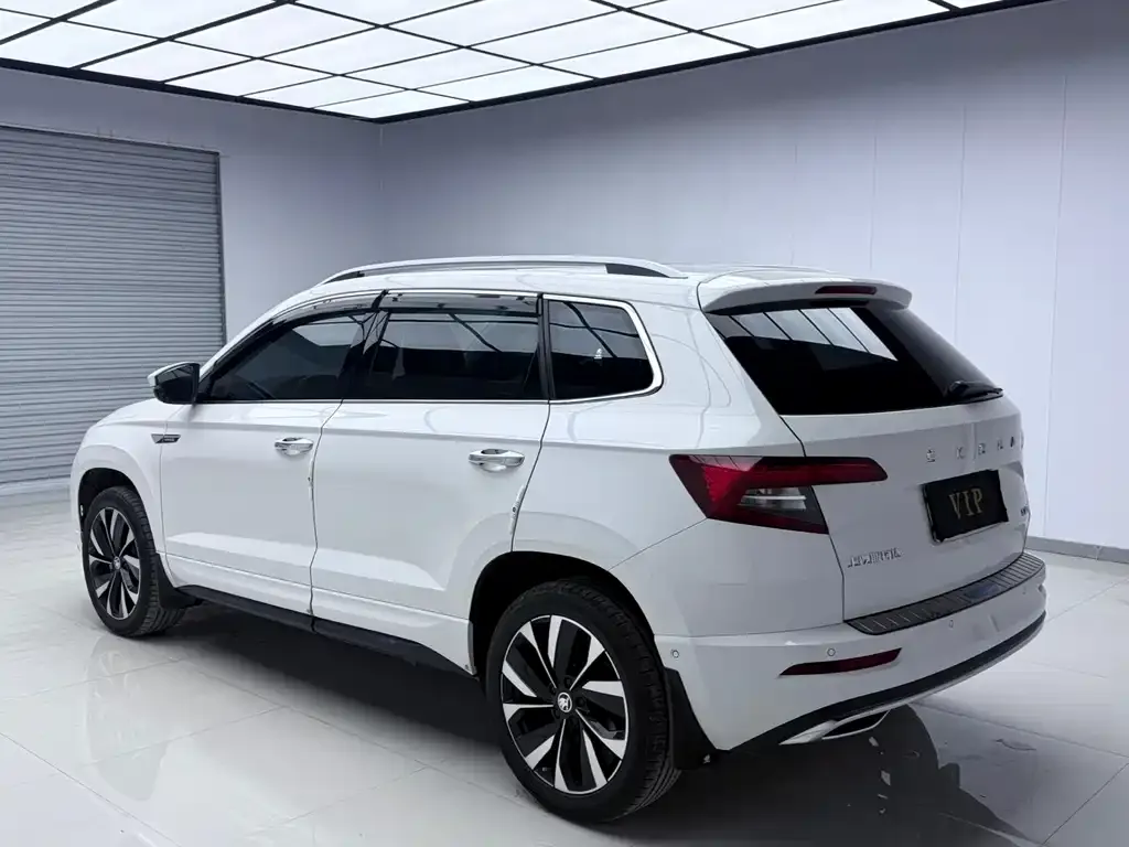 Skoda Karoq — фото 5