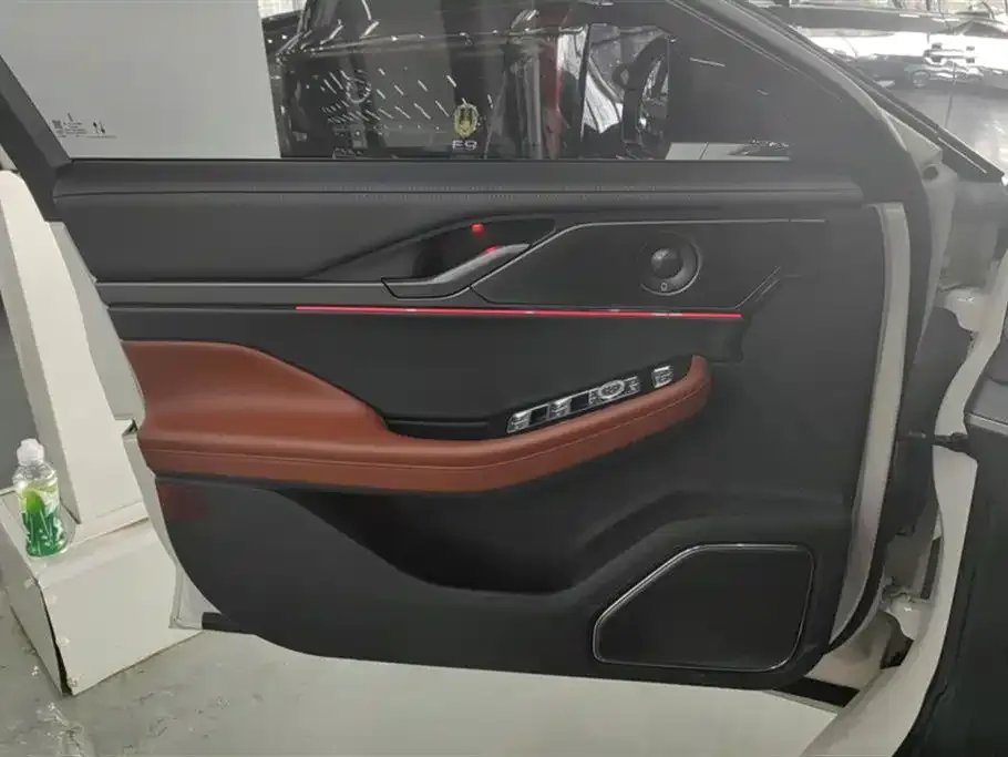 Lincoln Z 2022 из CN, фото 4