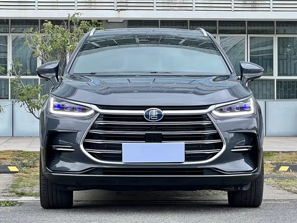 BYD Tang New Energy 2023 из CN, фото 3