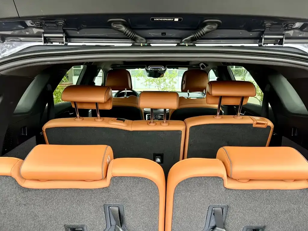BYD Tang New Energy 2023 из CN, фото 2
