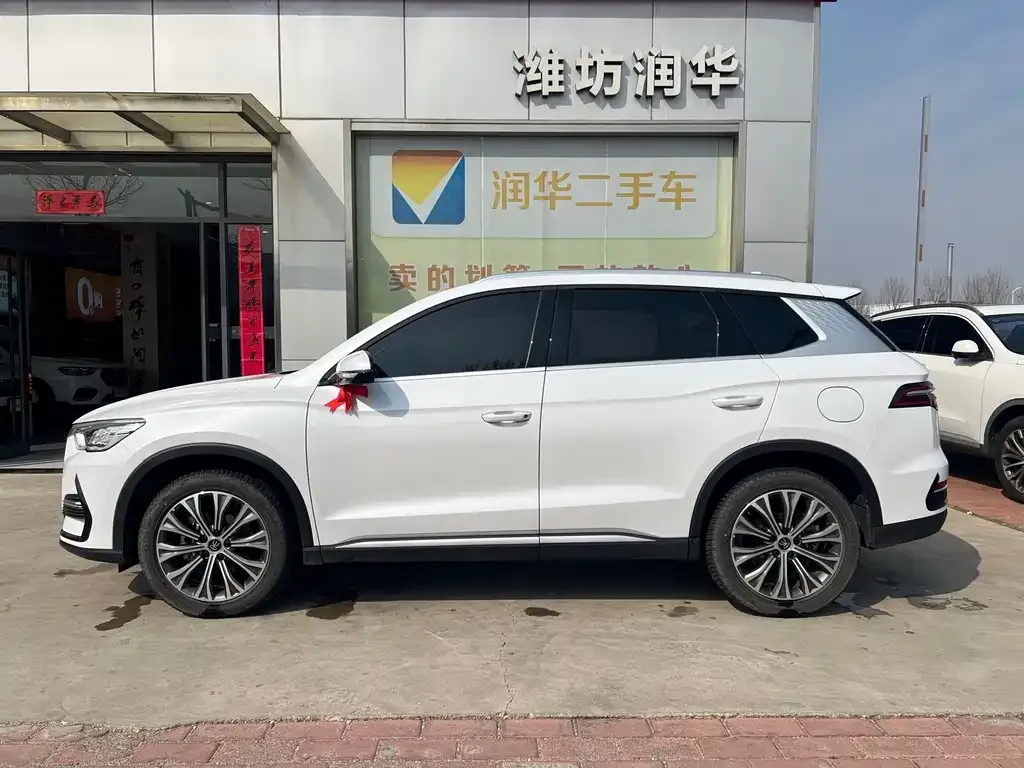 BYD Pro New Energy — фото 3