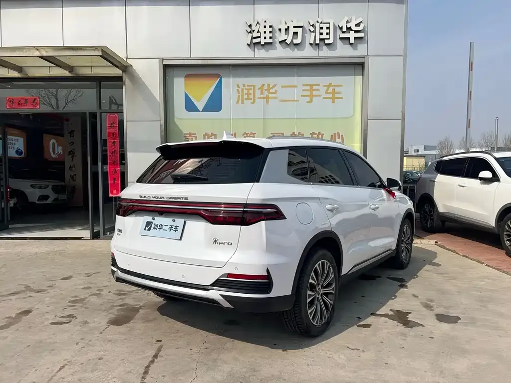 BYD Pro New Energy — фото 6