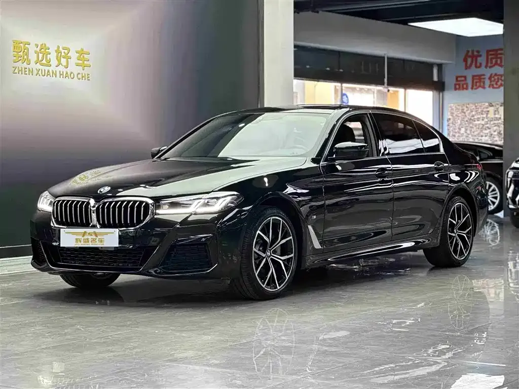 BMW 5 Series 2022 из CN, фото 1