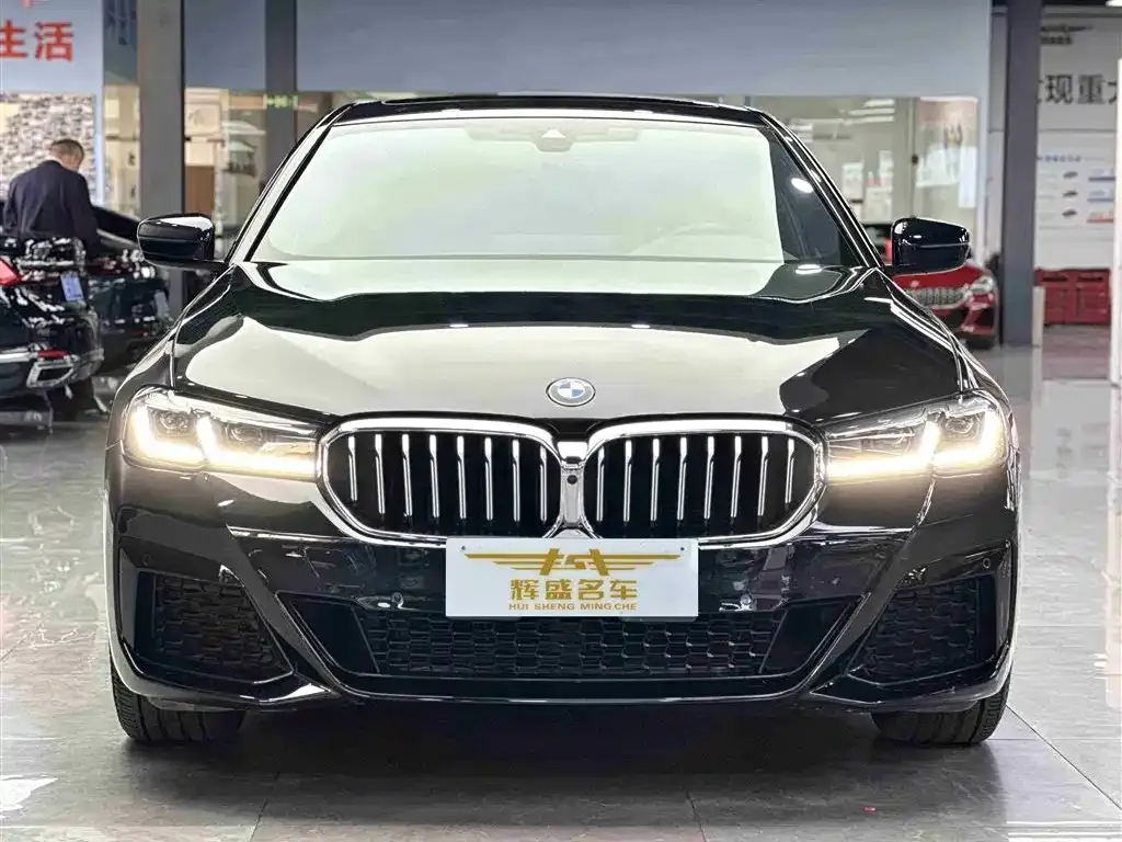 BMW 5 Series 2022 из CN, фото 3