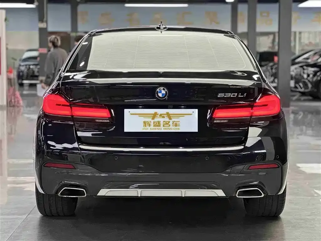 BMW 5 Series 2022 из CN, фото 2