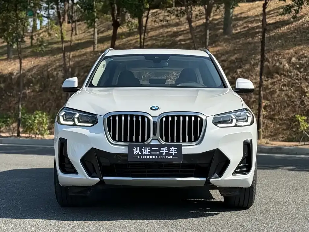 BMW X3 2023 из CN, фото 3